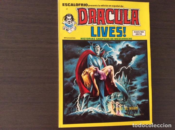 C&oacute;mics: ESCALOFR&Iacute;O VERTICE N&Uacute;MERO 41 EXCELENTE ESTADO - Foto 1