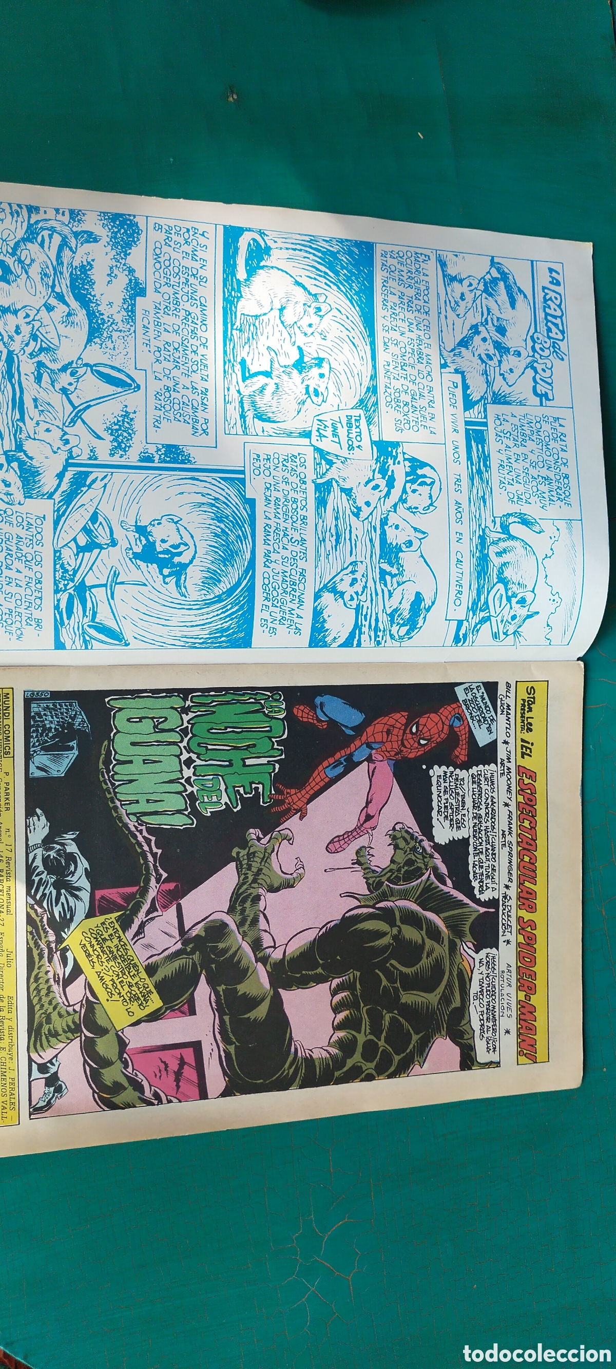 C&oacute;mics: Spiderman mundi c&oacute;mics 17 - Foto 3