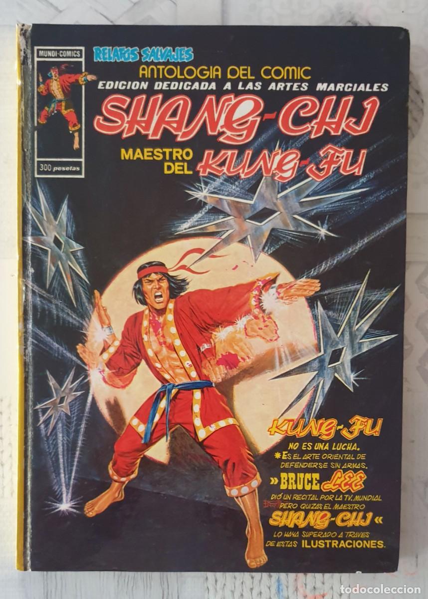 C&oacute;mics: ANTOLOGIA DEL COMIC. Colecci&oacute;n completa de 17 tomos. Ediciones Vertice 1977 - Foto 10