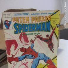 Cómics: PETER PARKER-SPIDERMAN. VOL.1 . Nº 13 VERTICE SDX61