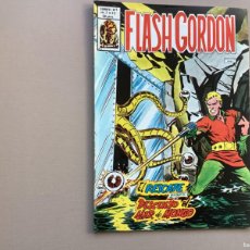 Cómics: FLASH GORDON VOLUMEN 2 NÚMERO 22 EXCELENTE ESTADO