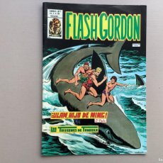 Cómics: FLASH GORDON VOLUMEN 2 NÚMERO 38 EXCELENTE ESTADO