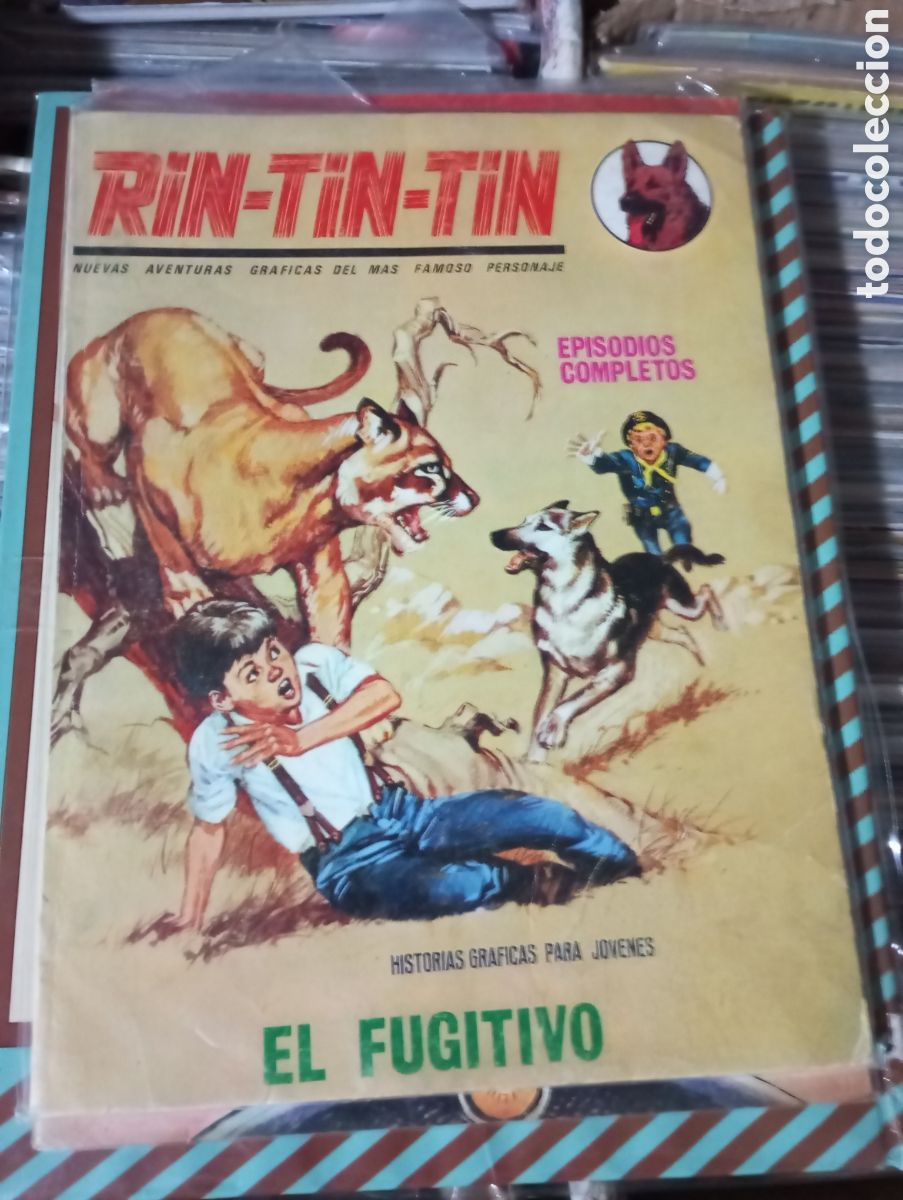 C&oacute;mics: Rin-Tin-Tin: El Fugitivo - Foto 1