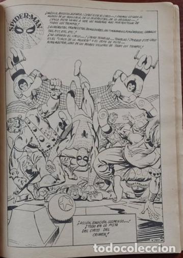 C&oacute;mics: Antologia del comic n&ordm; 12 Spiderman - Ediciones V&eacute;rtice 1978 - Foto 12