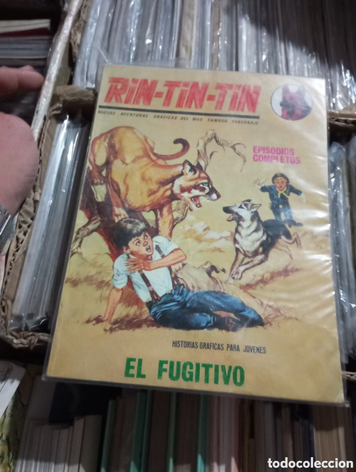 C&oacute;mics: Rin - Tin - Tin: El Fugitivo - Foto 1