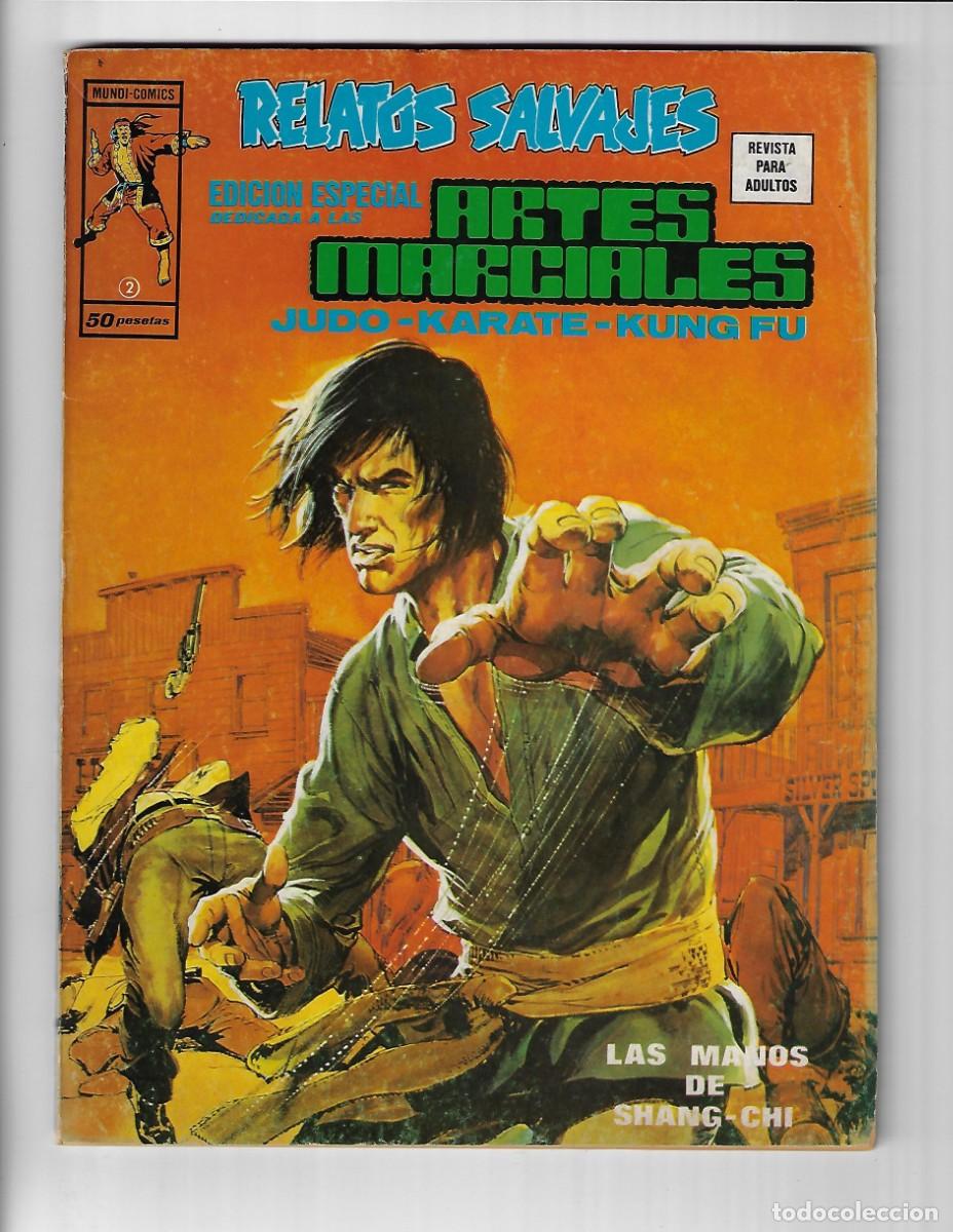 C&oacute;mics: V&eacute;rtice. Volumen 1. Artes marciales. 2 - Foto 1
