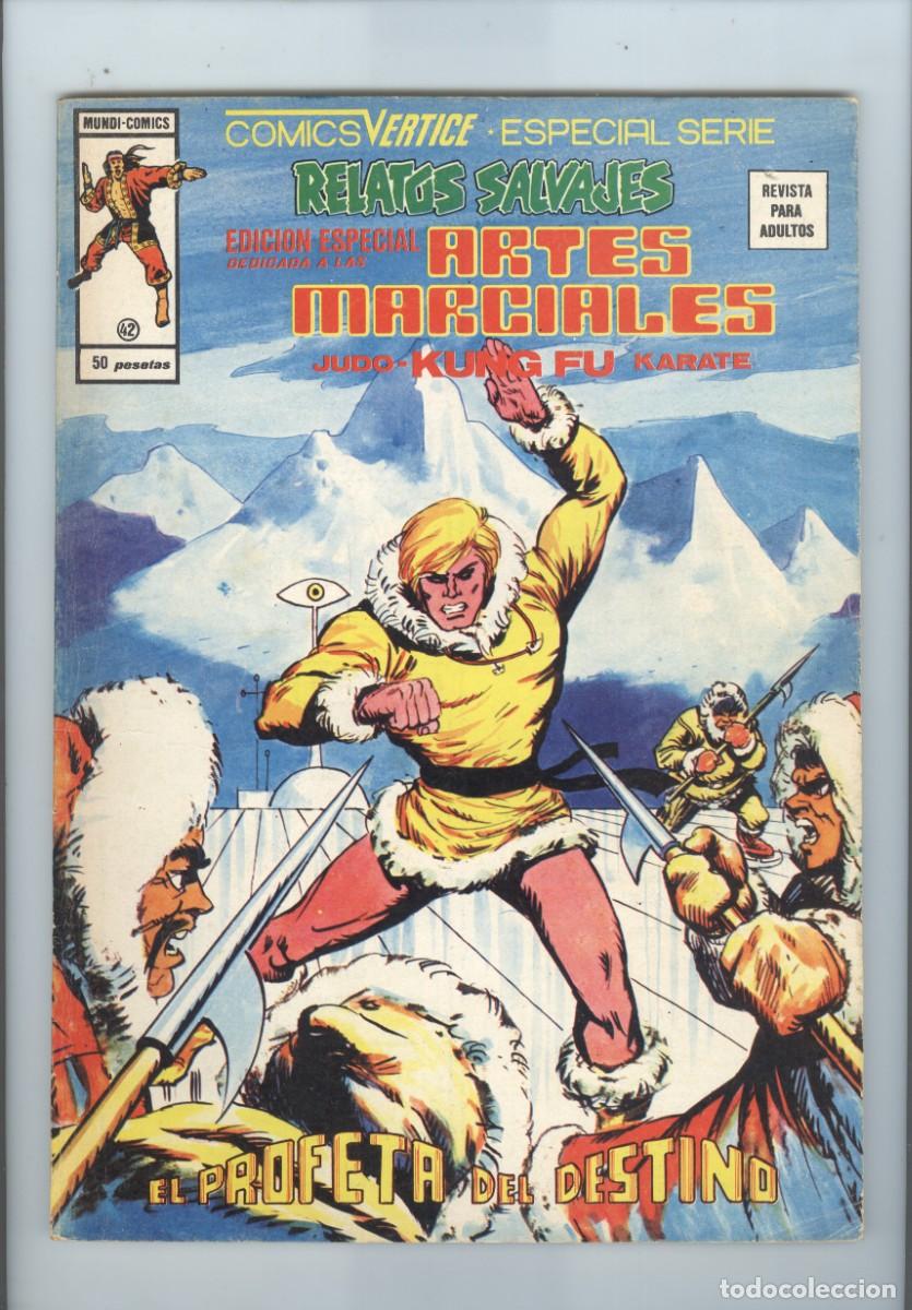 C&oacute;mics: V&eacute;rtice. Volumen 1. Artes marciales. 42 - Foto 1