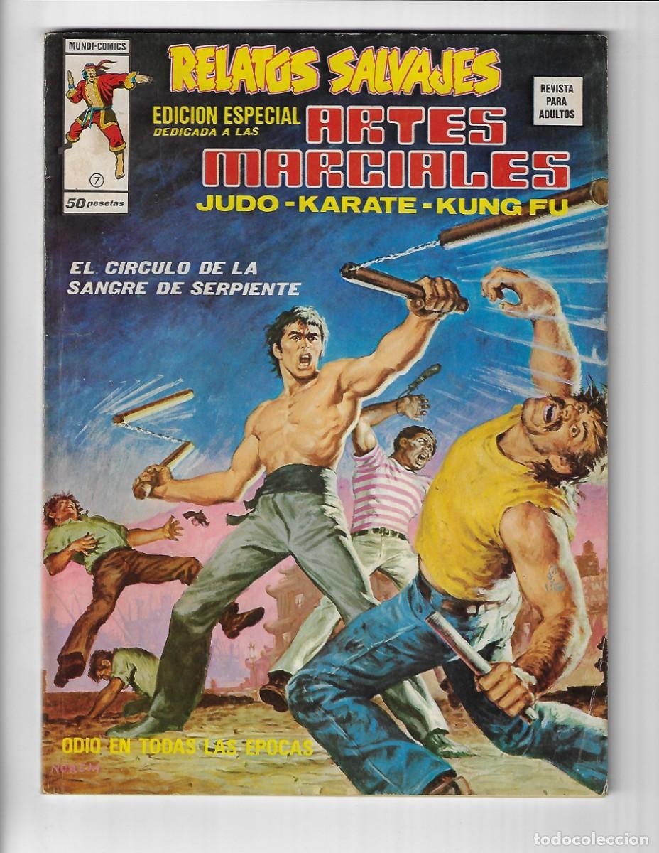 C&oacute;mics: V&eacute;rtice. Volumen 1. Artes marciales. 7 - Foto 1