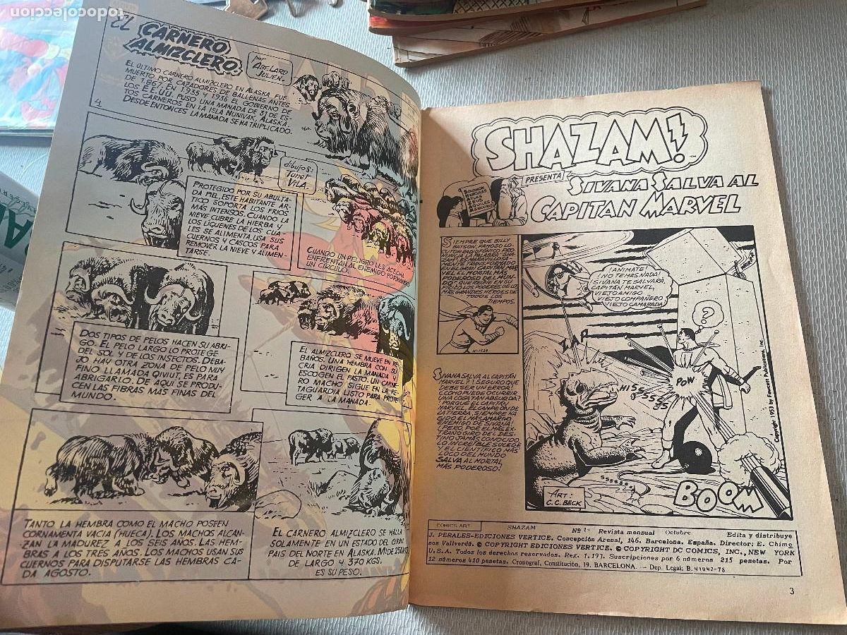 C&oacute;mics: SHAZAM V&Eacute;RTICE VOLUMEN 1 C&Oacute;MICS ART N&Uacute;MERO 14 - Foto 2