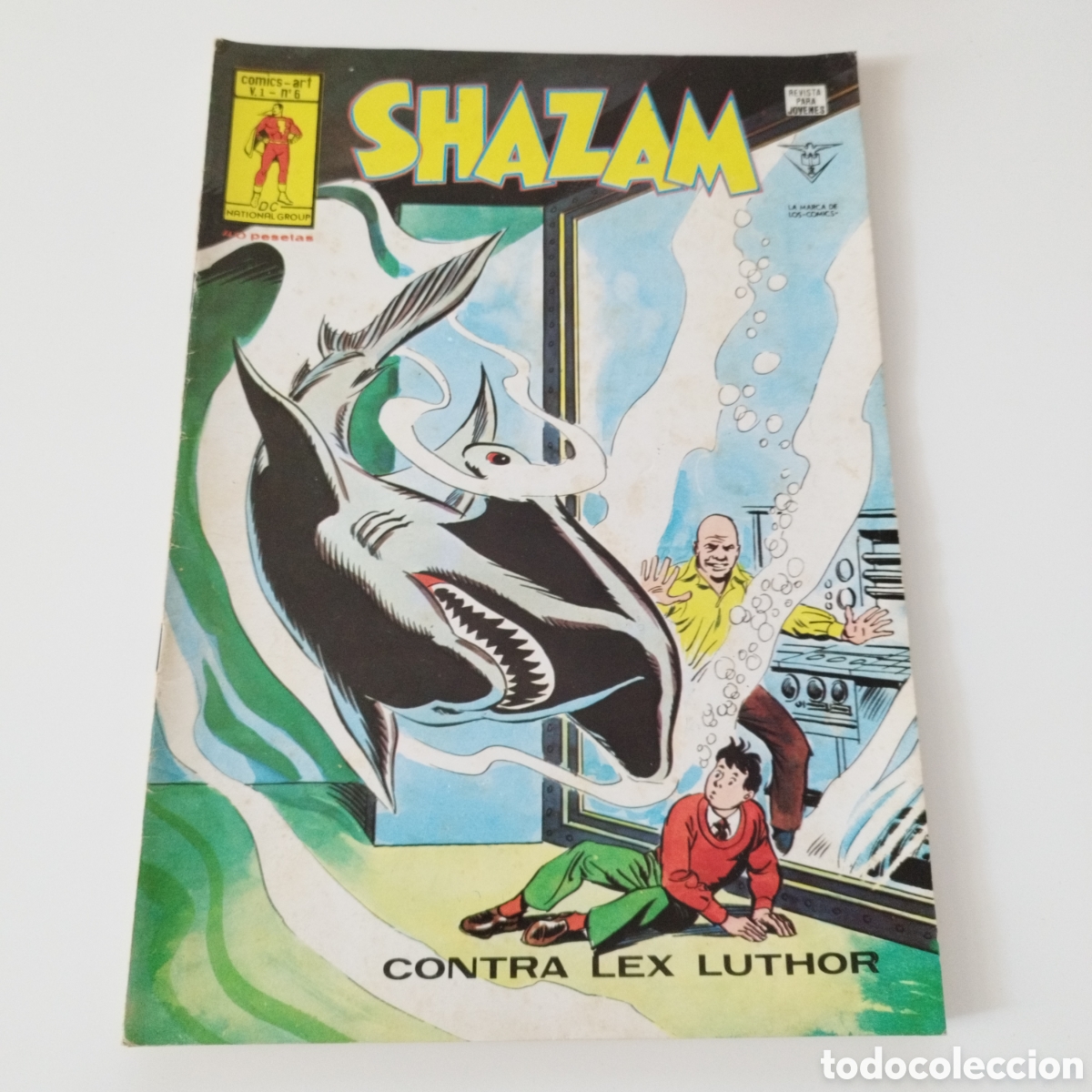 Comics: SHAZAM / V.1 / # 6 / COMICS ART / EDICIONES VERTICE / 1978 /