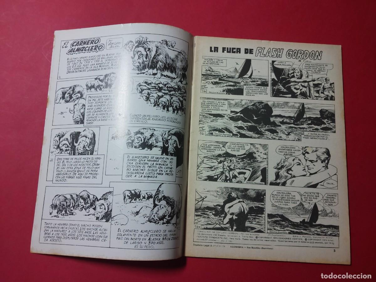 C&oacute;mics: Flash Gordon V1 N&ordm; 39 Vertice 1974 REf CC - Foto 2