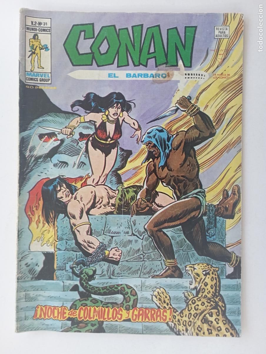 C&oacute;mics: CONAN EL B&Aacute;RBARO VOL. 2 N&ordm; 31 - EDI. V&Eacute;RTICE - Foto 1