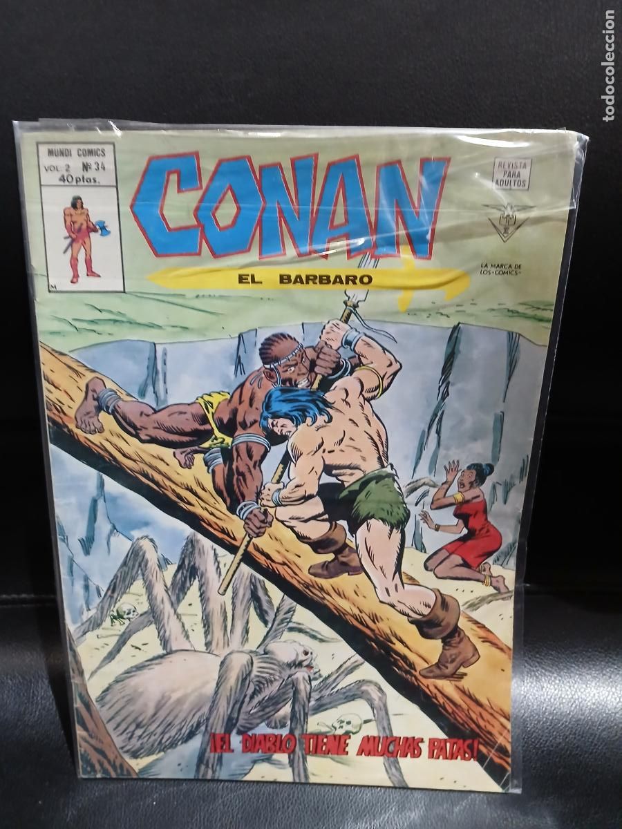 C&oacute;mics: LOTE DE 40 N&Uacute;MEROS DE CONAN EL BARBARO, VOLUMEN 2 -EDICIONES VERTICE- - Foto 4