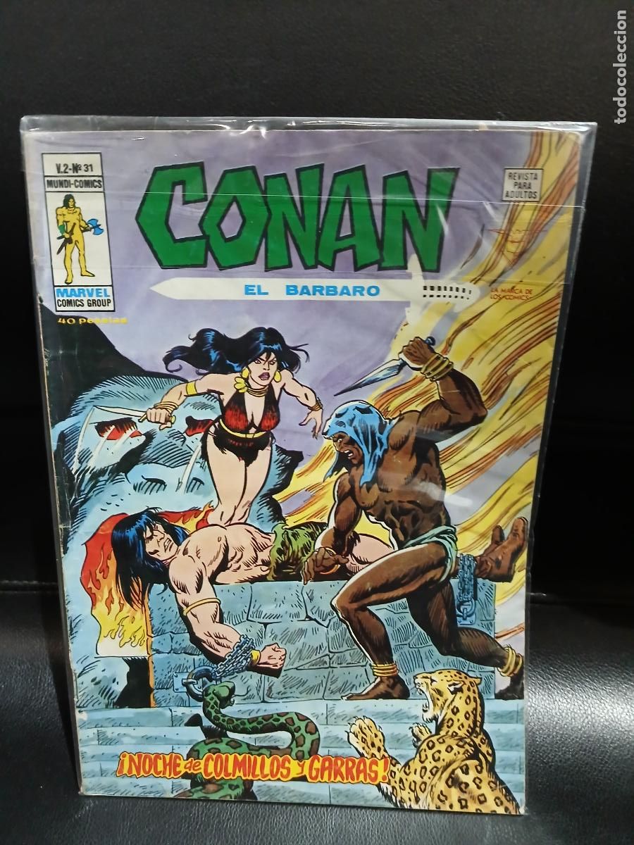 C&oacute;mics: LOTE DE 40 N&Uacute;MEROS DE CONAN EL BARBARO, VOLUMEN 2 -EDICIONES VERTICE- - Foto 7