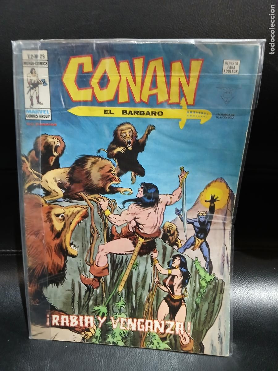 C&oacute;mics: LOTE DE 40 N&Uacute;MEROS DE CONAN EL BARBARO, VOLUMEN 2 -EDICIONES VERTICE- - Foto 8