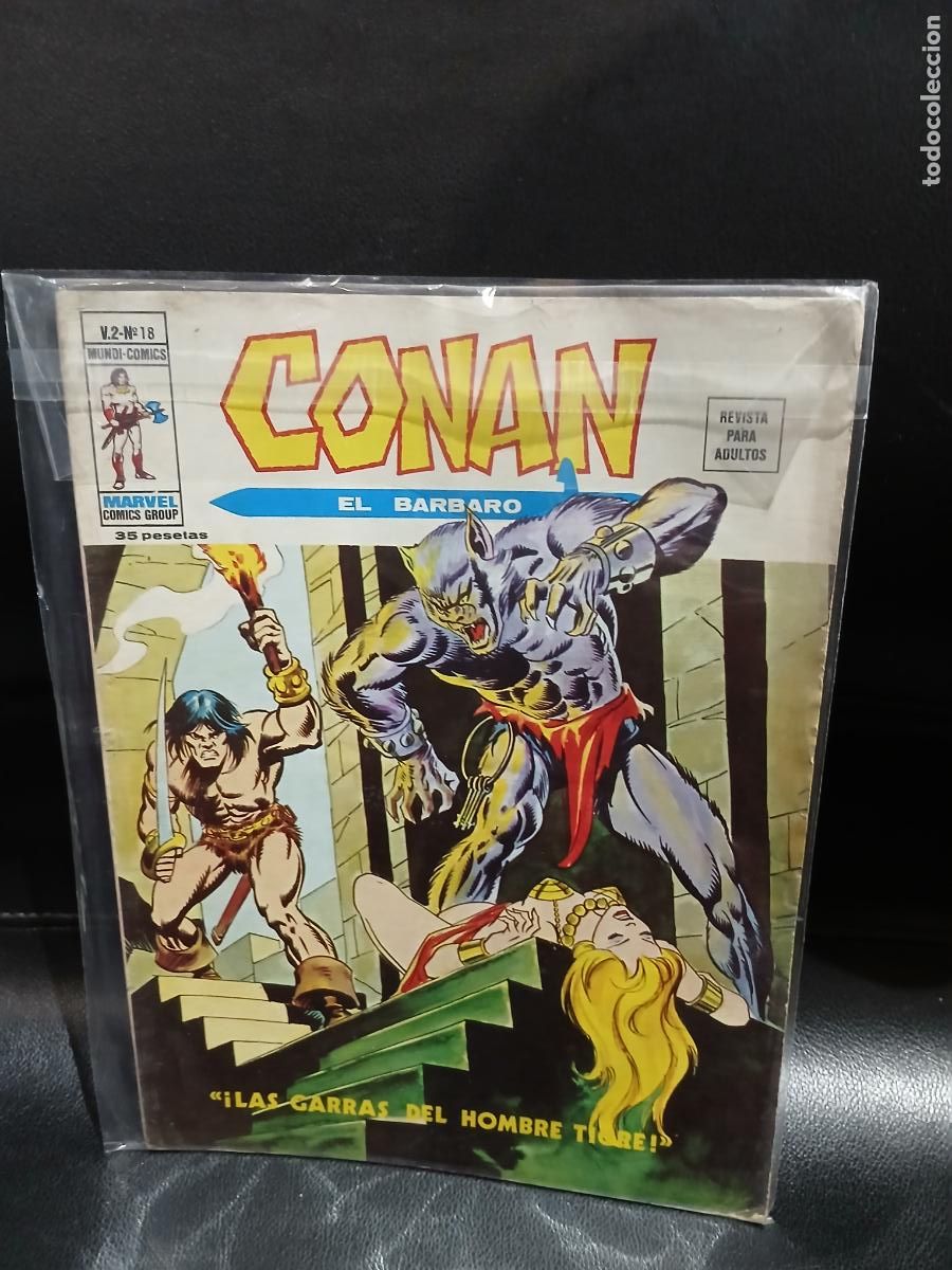 C&oacute;mics: LOTE DE 40 N&Uacute;MEROS DE CONAN EL BARBARO, VOLUMEN 2 -EDICIONES VERTICE- - Foto 19