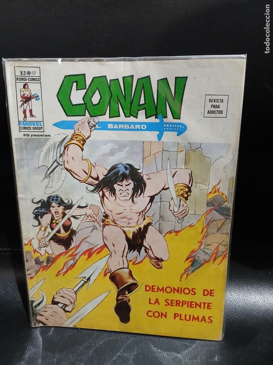 C&oacute;mics: LOTE DE 40 N&Uacute;MEROS DE CONAN EL BARBARO, VOLUMEN 2 -EDICIONES VERTICE- - Foto 20