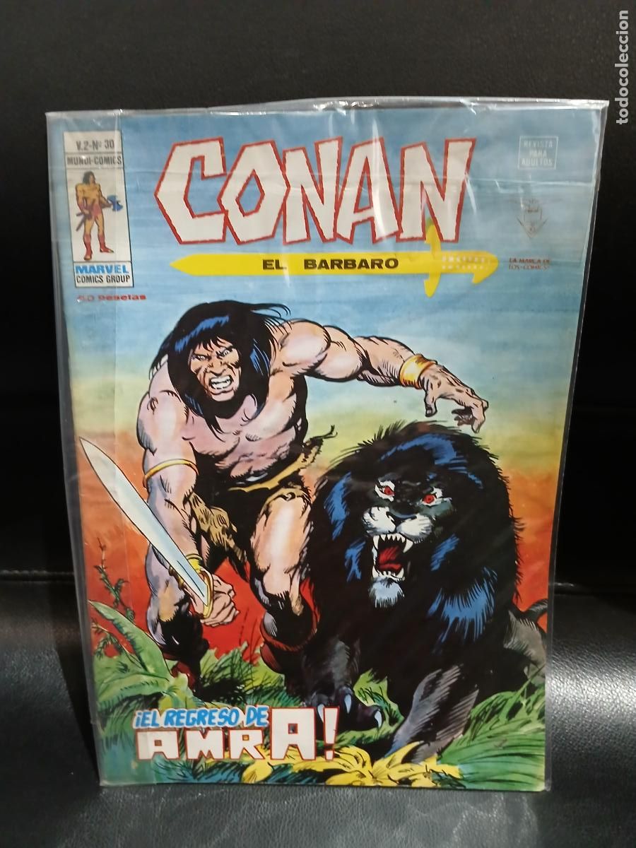 C&oacute;mics: LOTE DE 40 N&Uacute;MEROS DE CONAN EL BARBARO, VOLUMEN 2 -EDICIONES VERTICE- - Foto 30