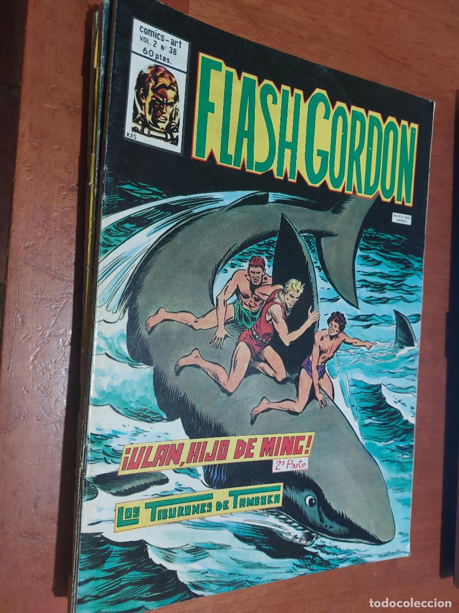 C&oacute;mics: FLASH GORDON. VOL. 2. N&ordm; 38 GRAPA. EDICIONES V&Eacute;RTICE. BUEN ESTADO - Foto 1