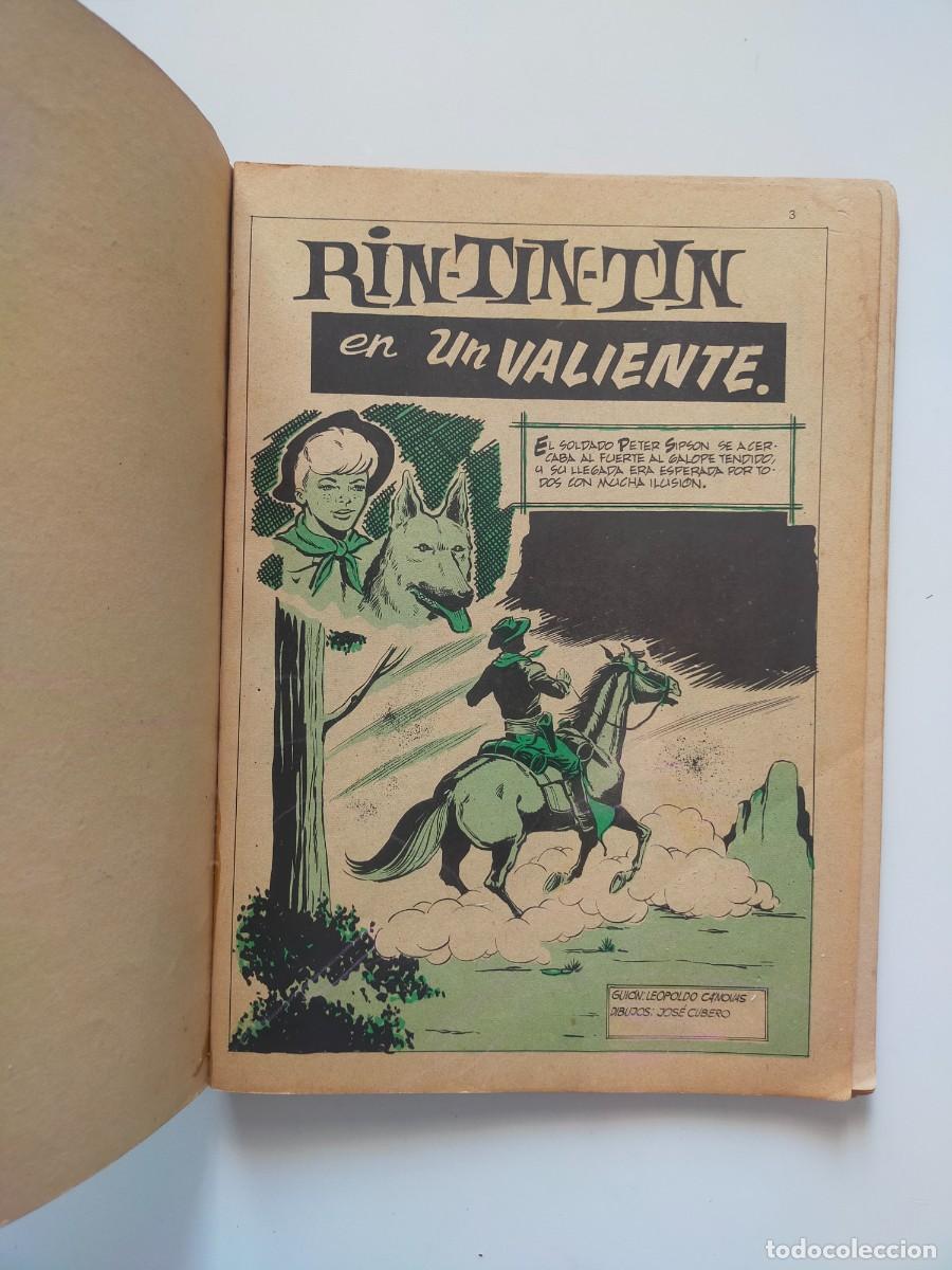 C&oacute;mics: RIN-TIN-TIN (Episodios Completos) N&ordm; 11: UN VALIENTE // Ediciones VERTICE - Foto 2