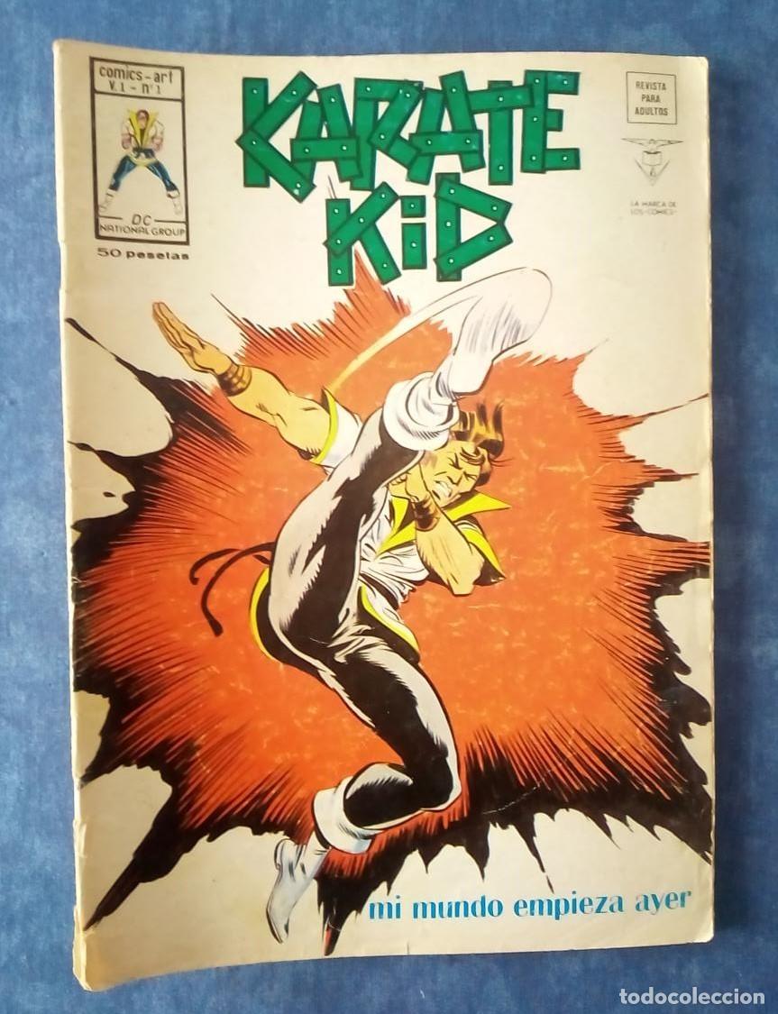 C&oacute;mics: C&oacute;mics Karate Kid ed. V&eacute;rtice - Foto 1