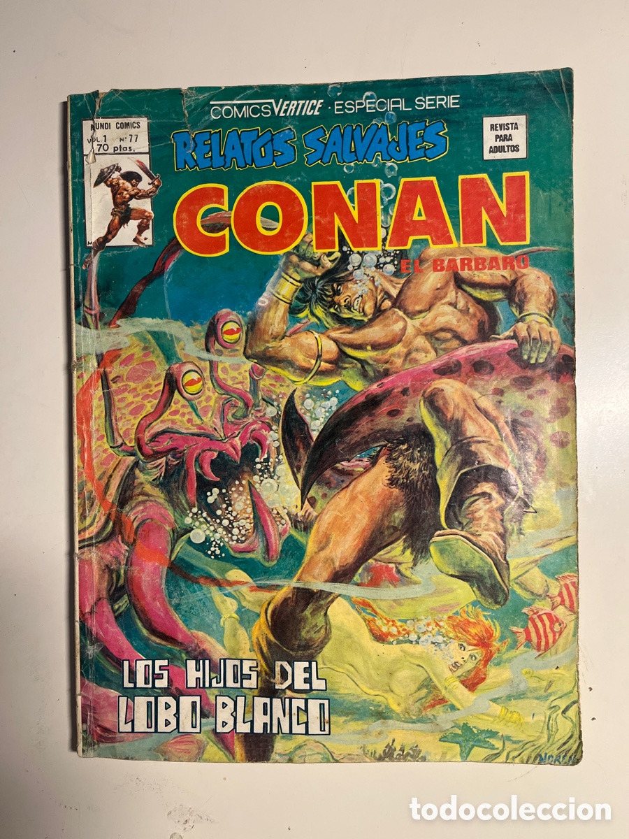 C&oacute;mics: RELATOS SALVAJES CONAN, N&Uacute;MERO 77, (V&Eacute;RTICE) - Foto 1