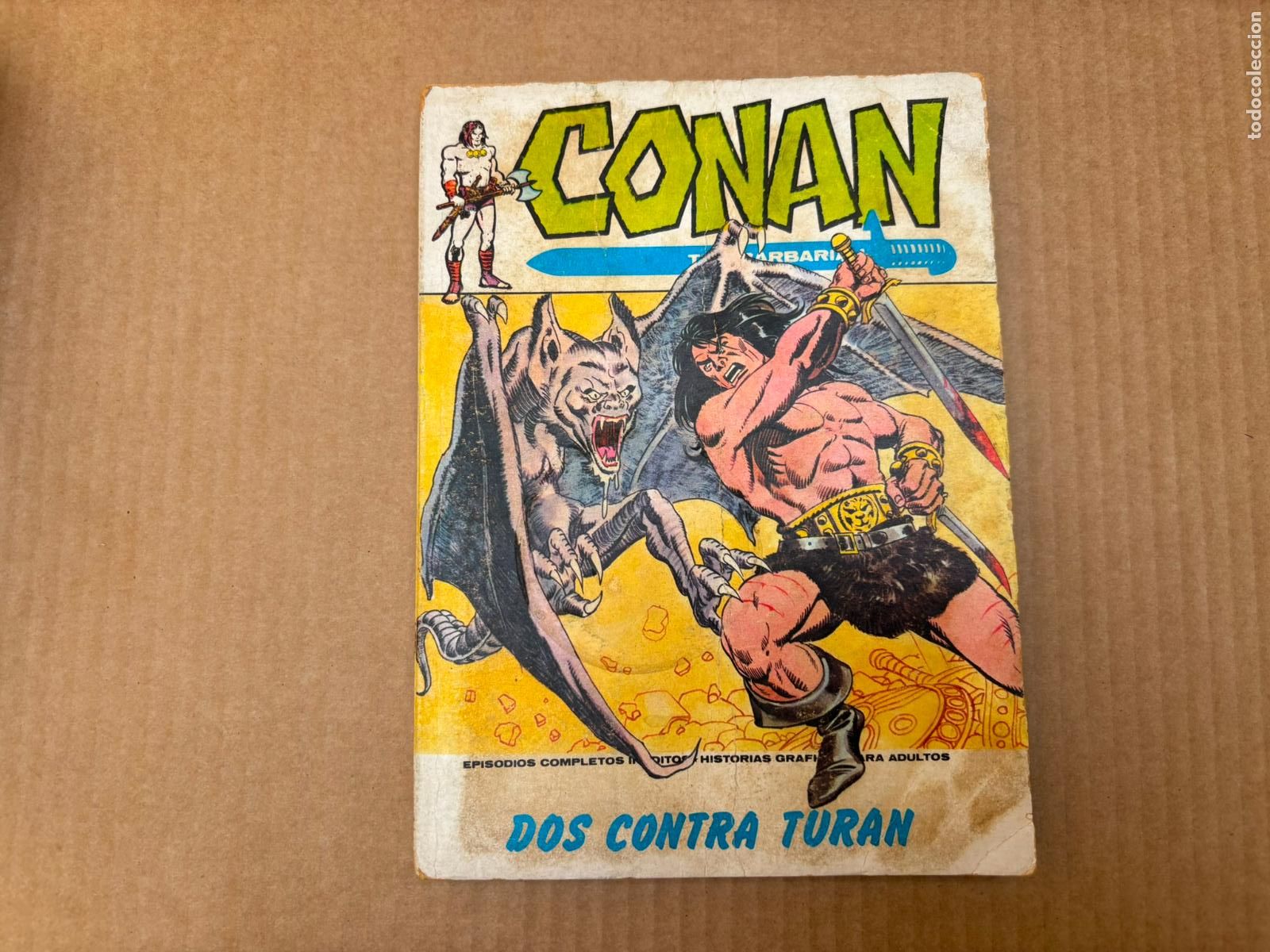 C&oacute;mics: CONAN N&ordm; 15 EDICIONES VERTICE VOLUMEN I - Foto 1