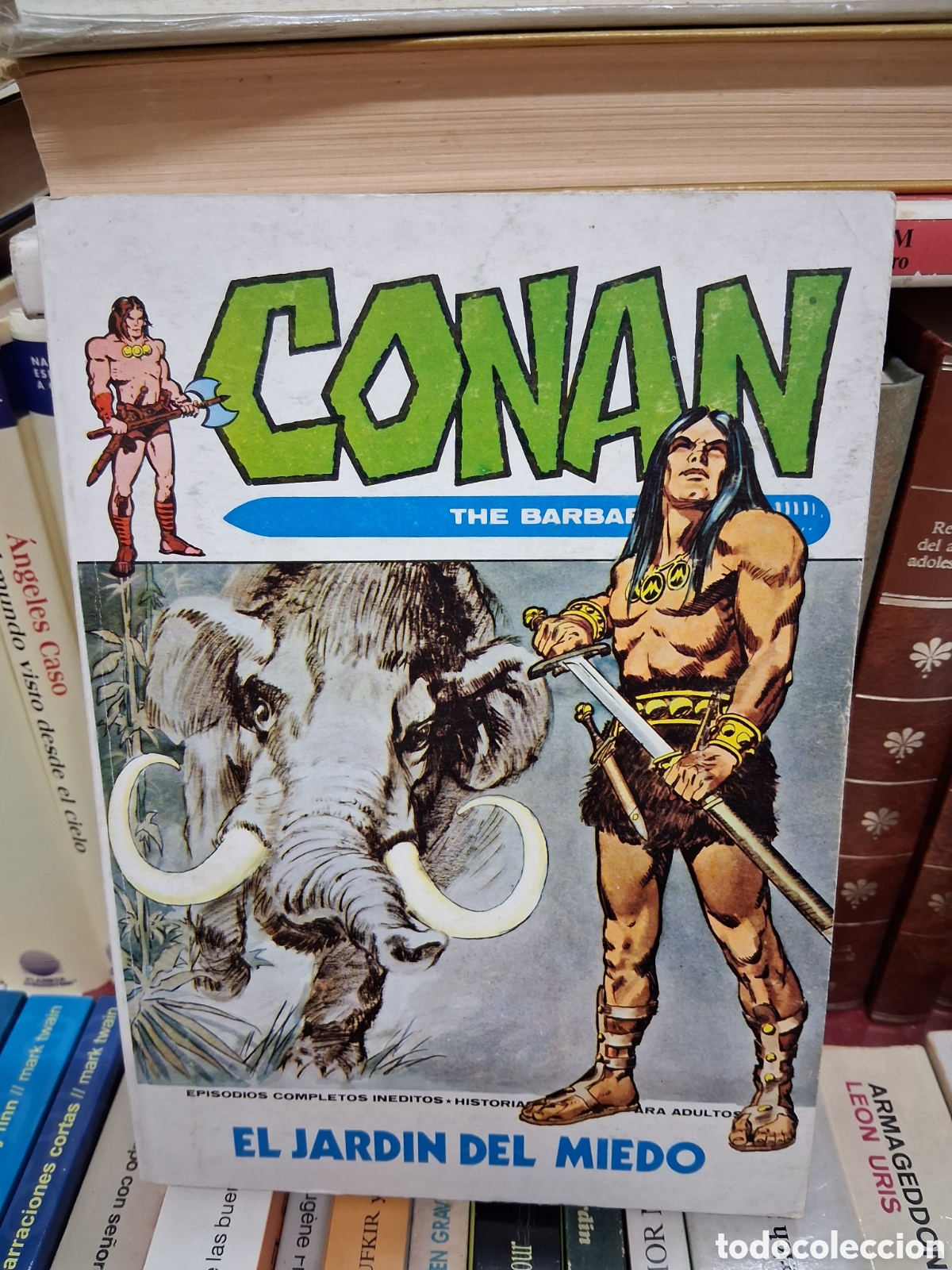 C&oacute;mics: Conan the barbarian - El jardin del miedo 5 - el barbaro 1973 Ediciones vertice