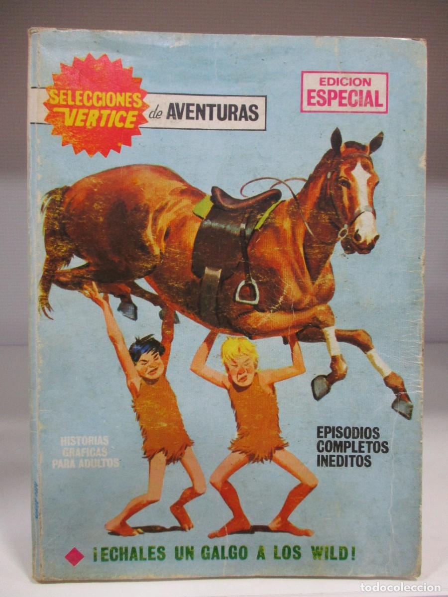Comics: SELECCIONES VERTICE - NUMERO 61 - HERMANOS WILD - V.1 - VOLUMEN 1 - VERTICE - TACO