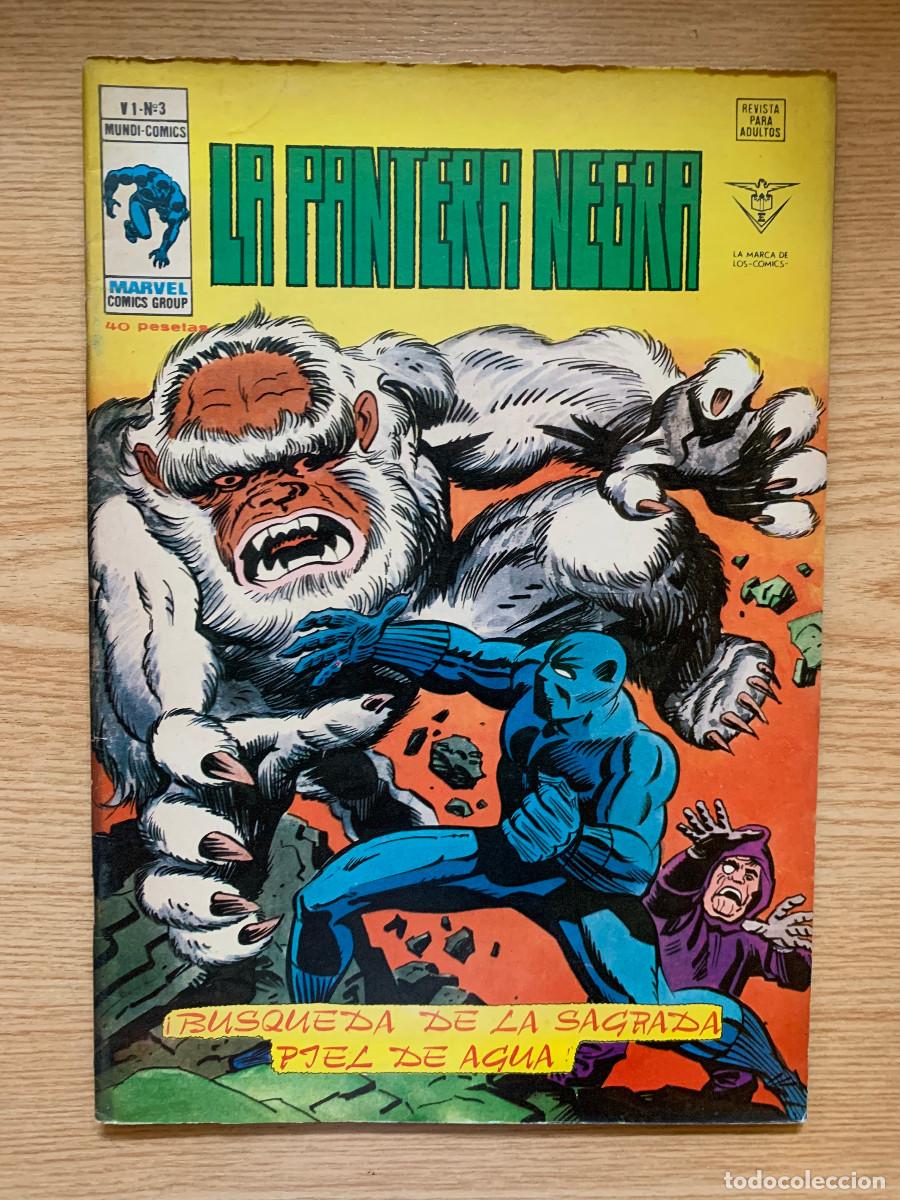 C&oacute;mics: Pantera Negra Colecci&oacute;n Completa V&eacute;rtice - 9 N&uacute;meros - Foto 9