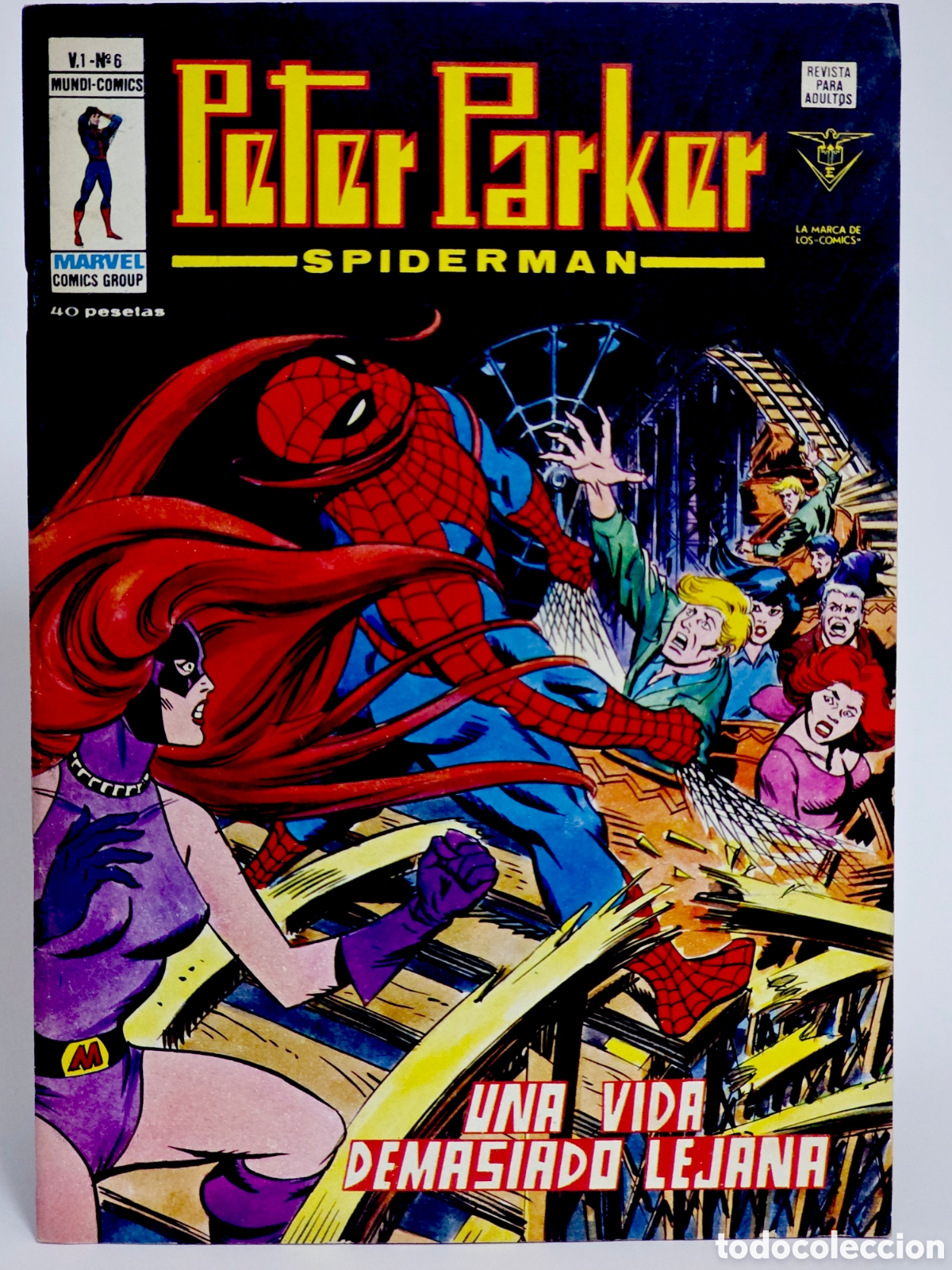 C&oacute;mics: C&Oacute;MIC PETER PARKER 6 SPIDERMAN VERTICE MARVEL (SPIDER-MAN) MUY BUEN ESTADO