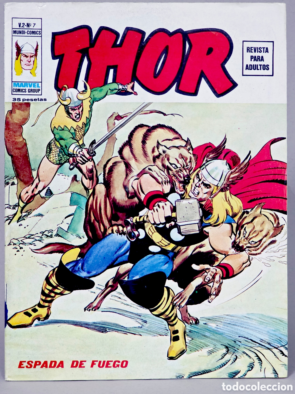 C&oacute;mics: C&Oacute;MIC DE KIOSCO THOR 7 ESPADA DE FUEGO VOL.2 VERTICE VOLUMEN MARVEL