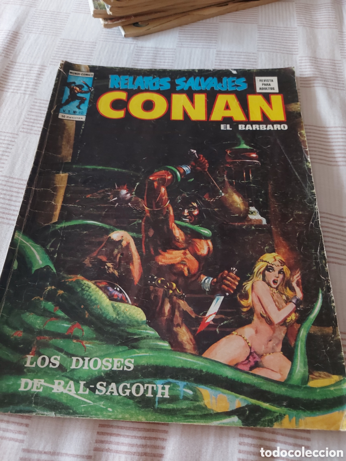 C&oacute;mics: Relatos salvajes de conan