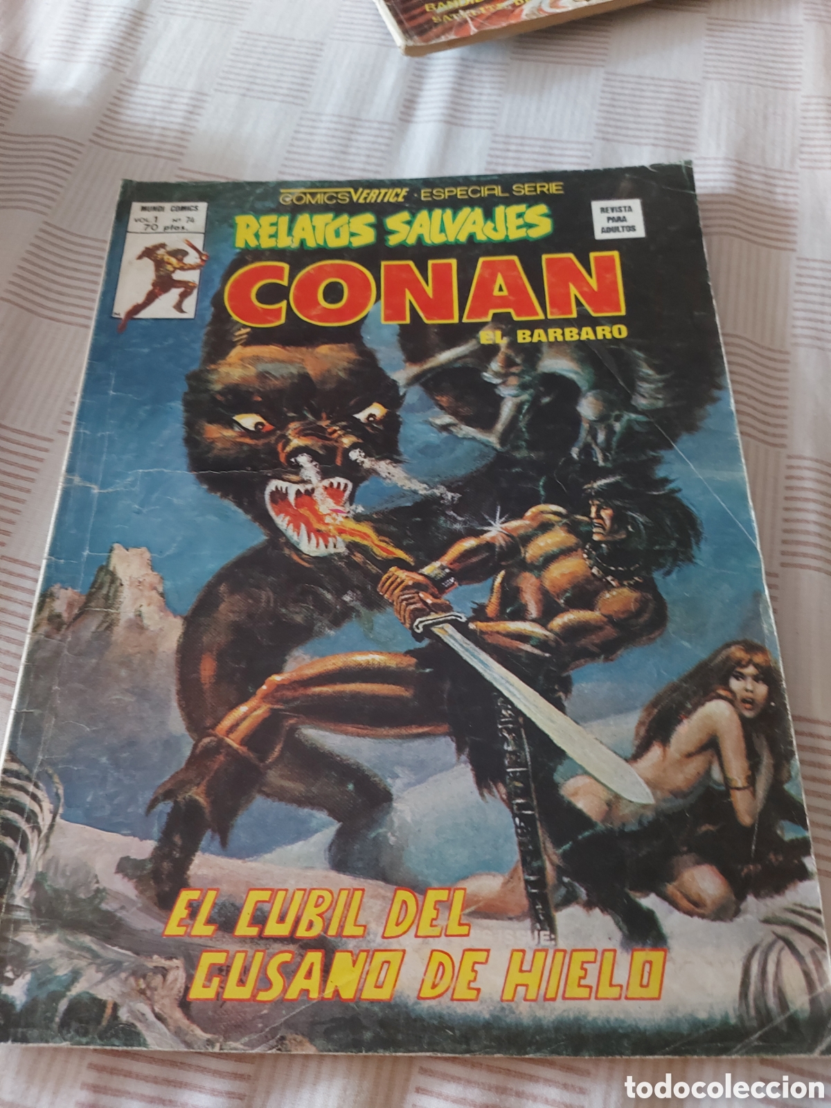 C&oacute;mics: Relatos salvajes de conan
