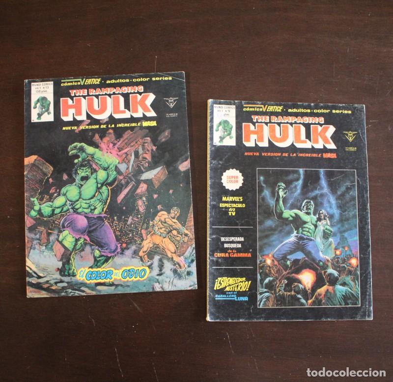 C&oacute;mics: LOTE 2 COMICS THE RAMPAGING HULK LA MASA 13 15 EDICIONES VERTICE 1980