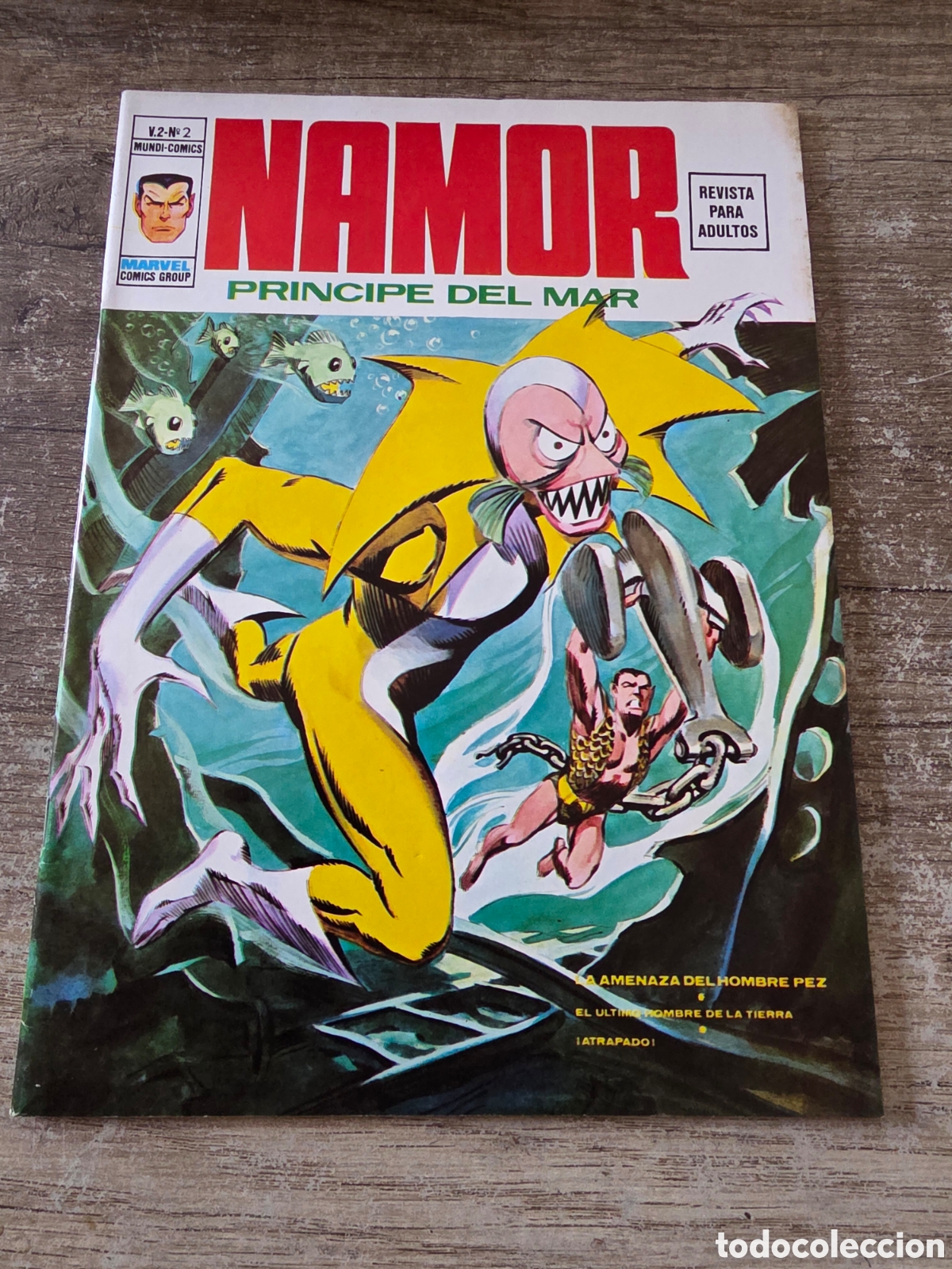 C&oacute;mics: NAMOR NUMERO 2 VERTICE V2 IMPECABLE