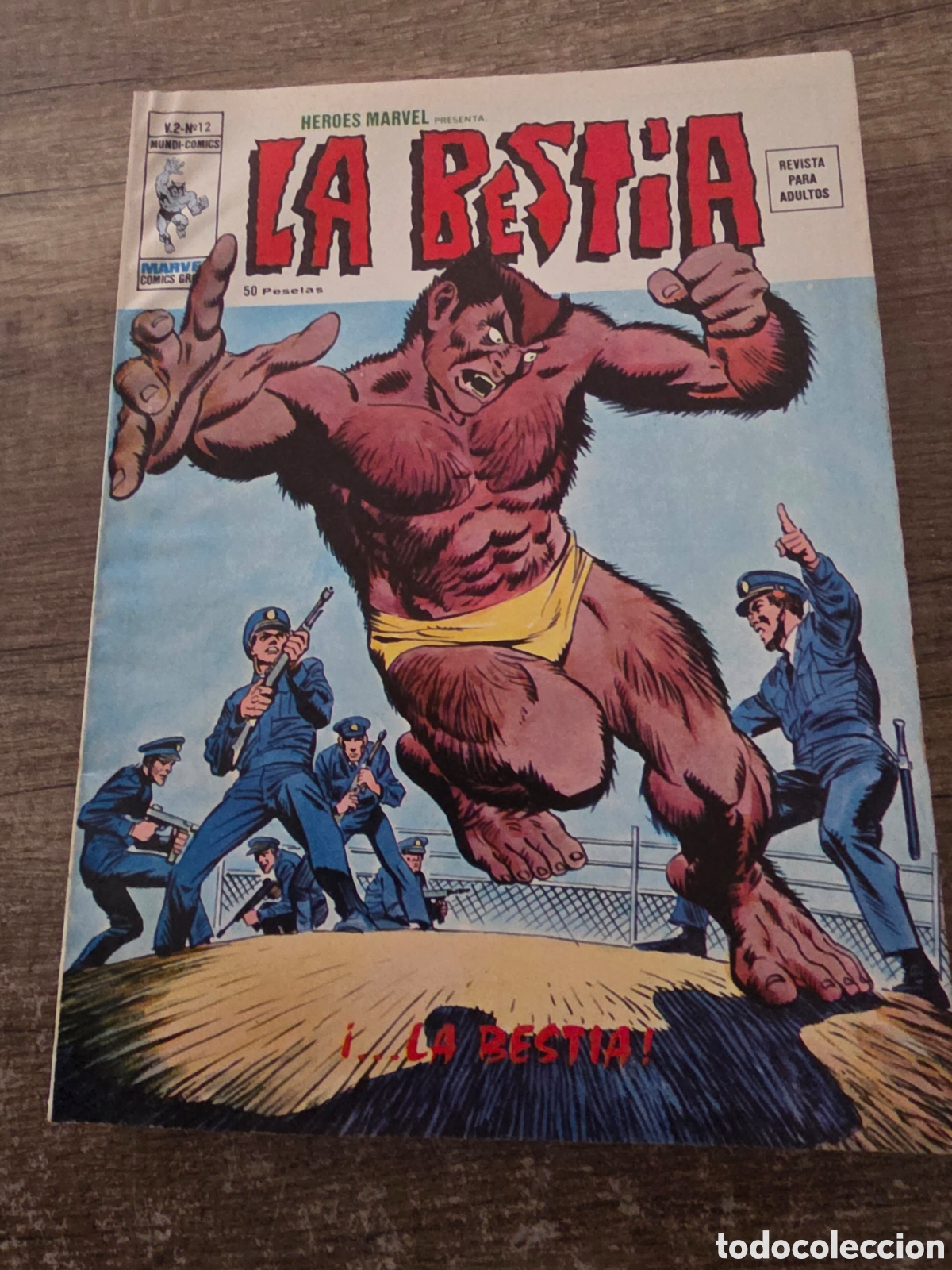 C&oacute;mics: Lote 2 comics vertice v2 heroes marvel la bestia - Foto 2