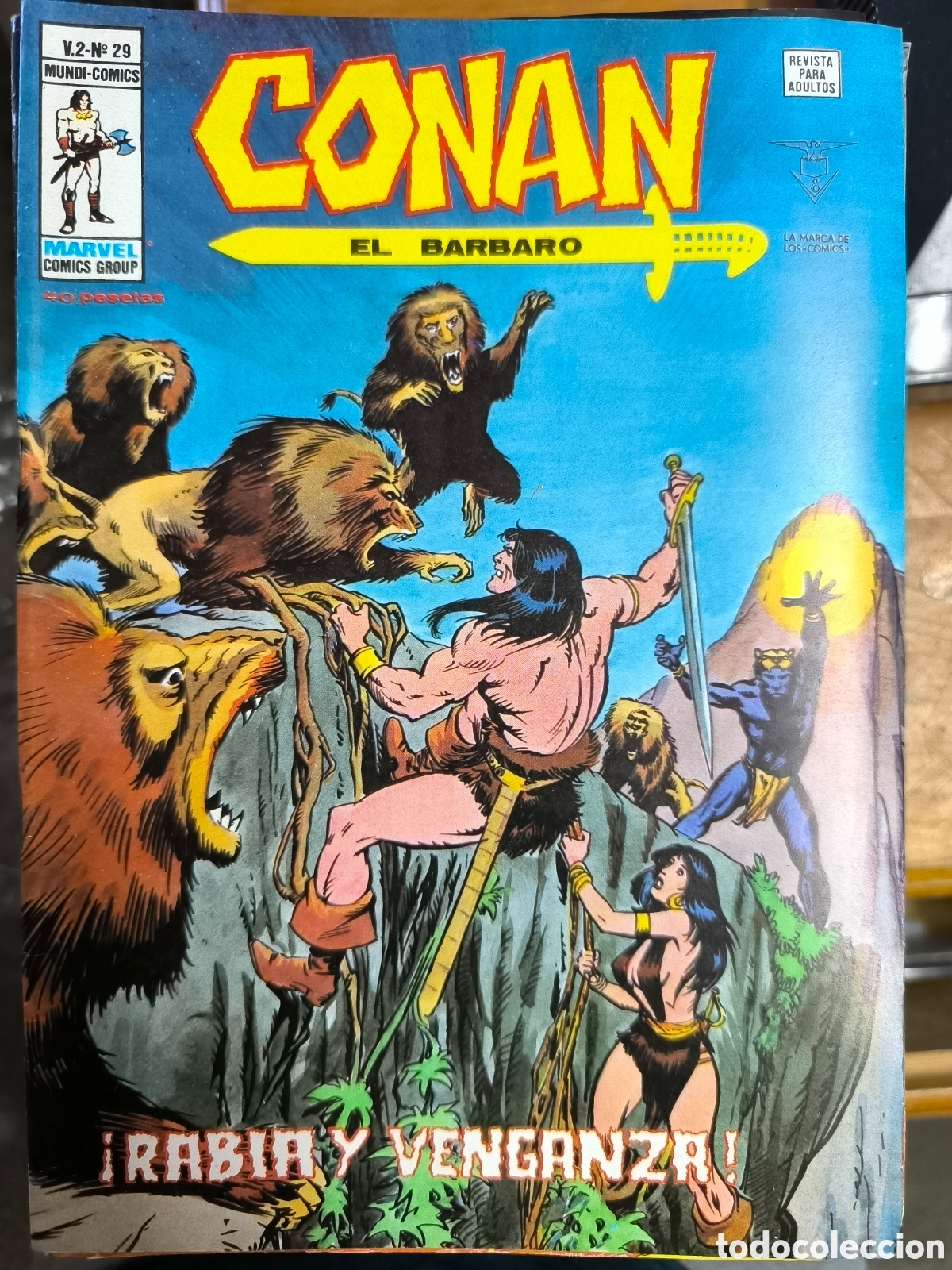 C&oacute;mics: Conan el b&aacute;rbaro rabia y venganza n29 v&eacute;rtice excelente estado