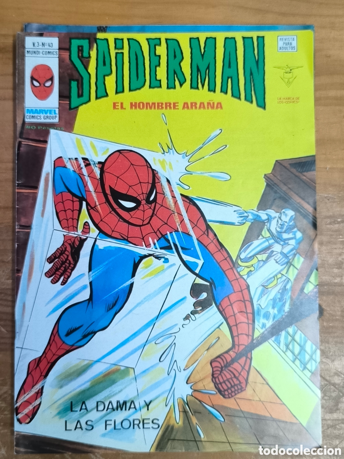 C&oacute;mics: Spiderman el hombre ara&ntilde;a la dama y las flores vertice 43