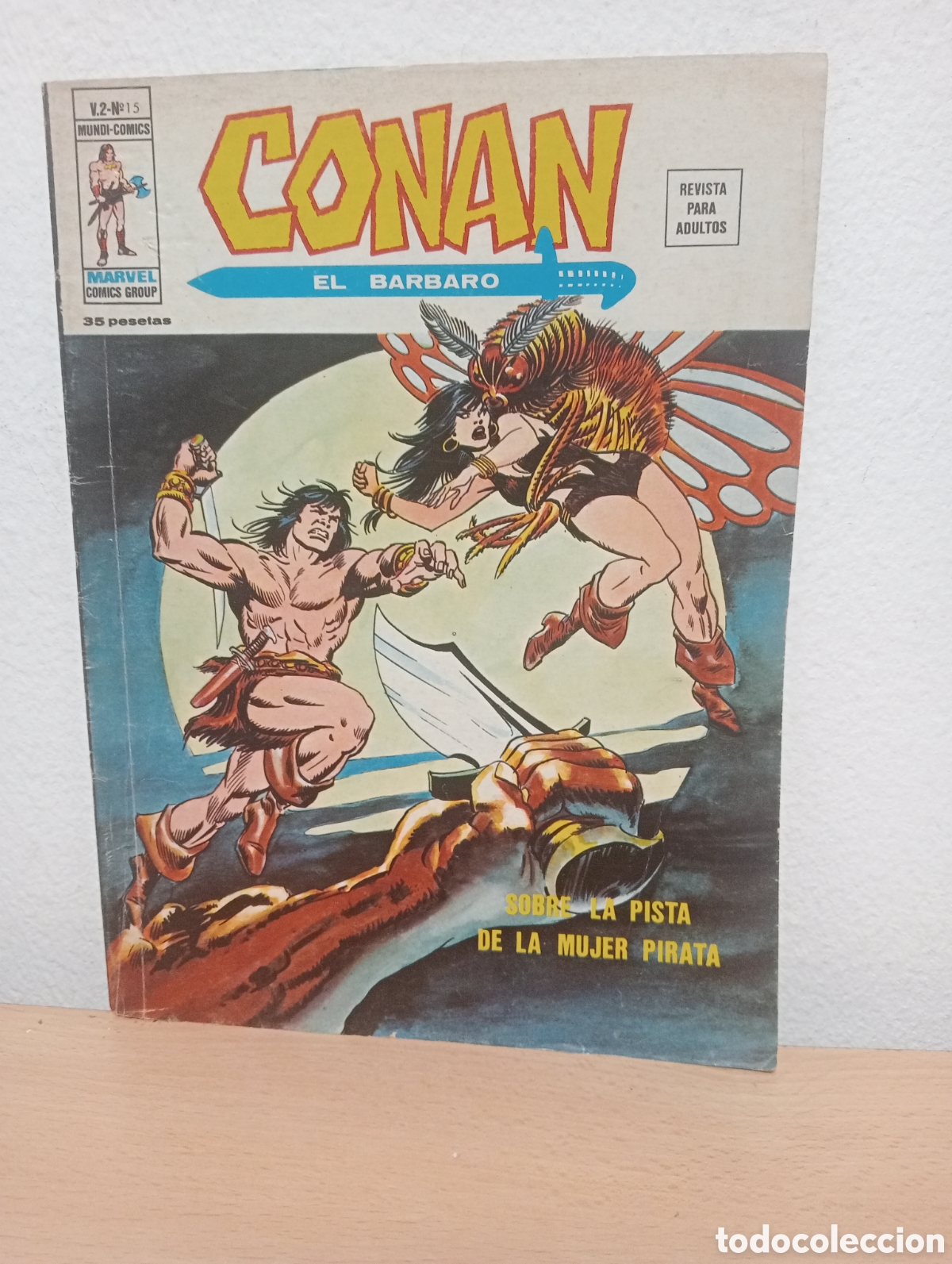 Comics: Conan el b&aacute;rbaro v2 n15 vertice