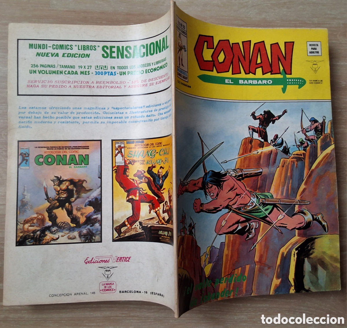 C&oacute;mics: Conan el barbaro comic volumen 2 n&uacute;mero 23 edita vertice