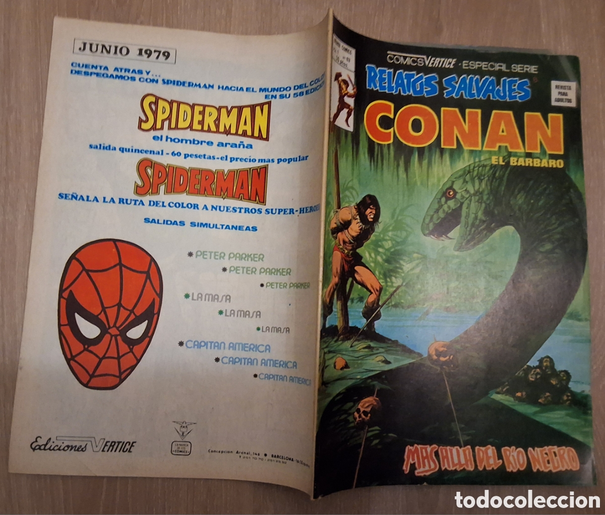 Comics: Conan el barbaro relatos salvajes comic volumen 1 n&uacute;mero 63 edita vertice