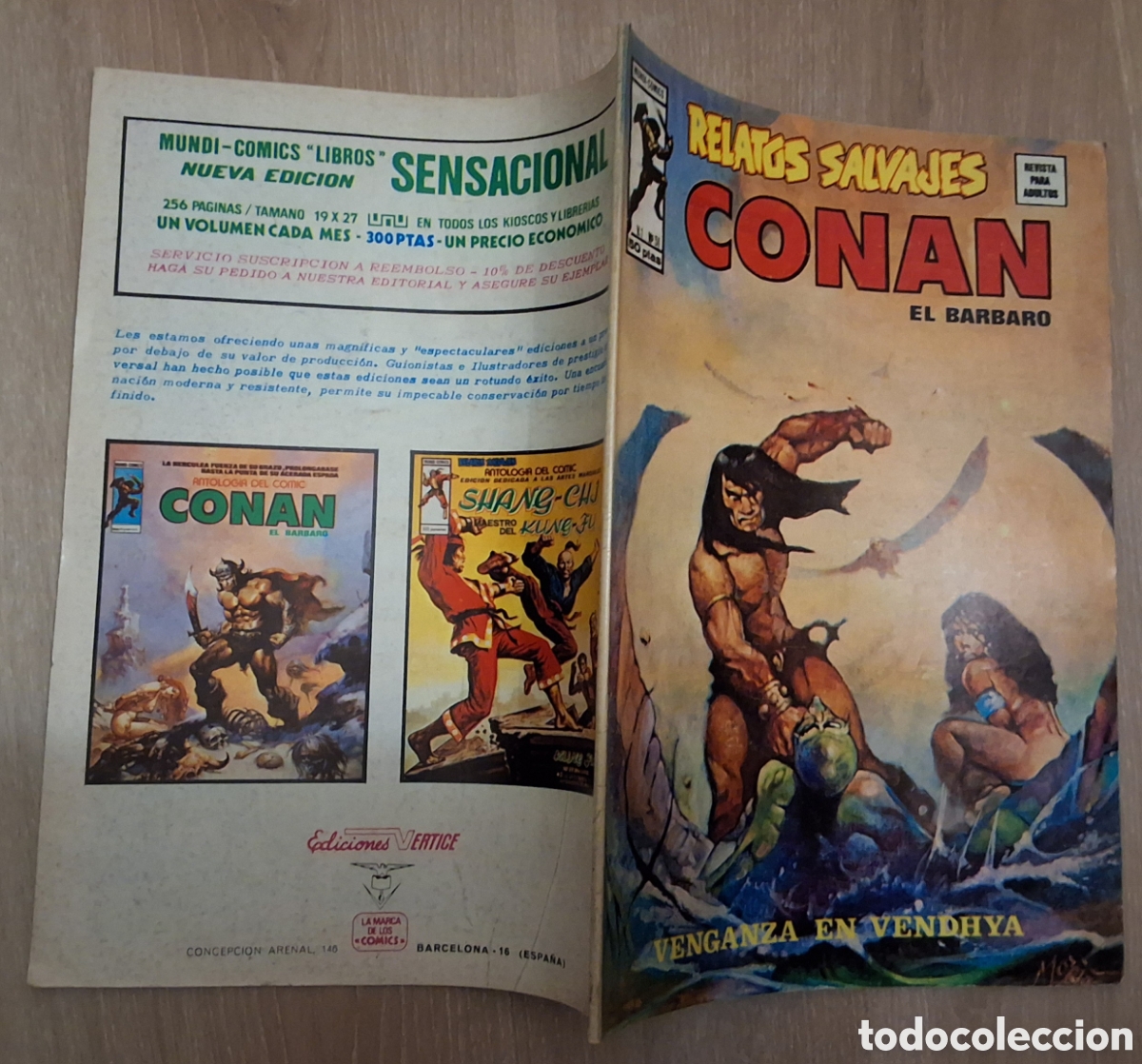 Comics : Conan el barbaro relatos salvajes comic volumen 1 n&uacute;mero 51 edita vertice