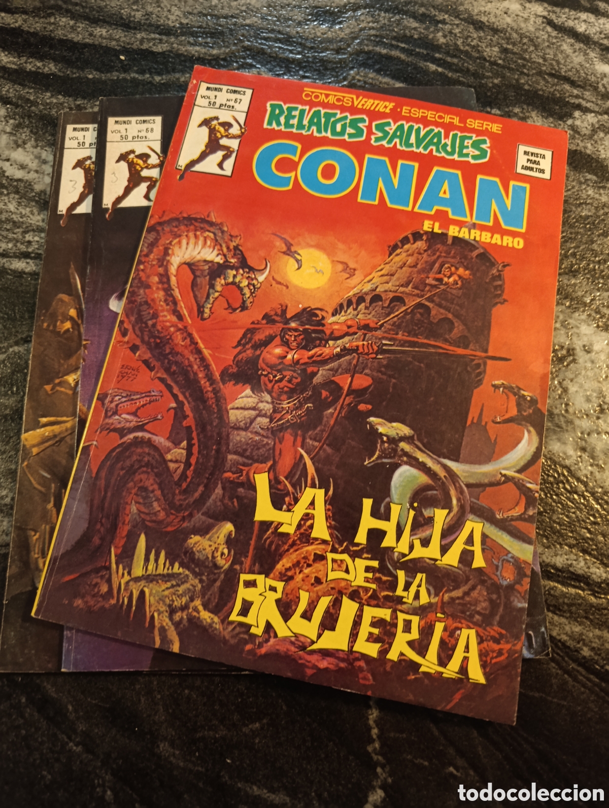 C&oacute;mics: RELATOS SALVAJES. CONAN EL B&Aacute;RBARO. V1. N. 67-68-69