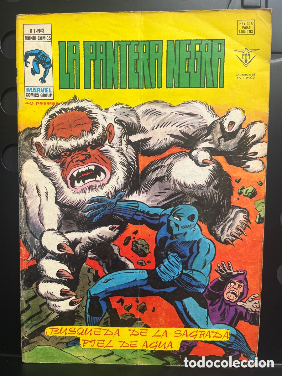 C&oacute;mics: LA PANTERA NEGRA VOL.1 N.3 B&Uacute;SQUEDA DE LA SAGRADA PIEL DE AGUA MUNDI-C&Oacute;MICS ( 1978/1979 )