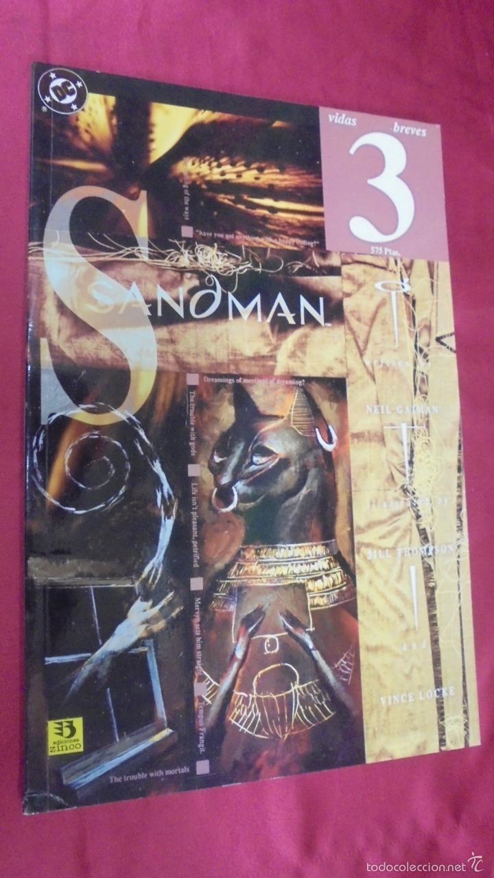 C&oacute;mics: SANDMAN VIDAS BREVES 3. EDICIONES ZINCO. - Foto 1