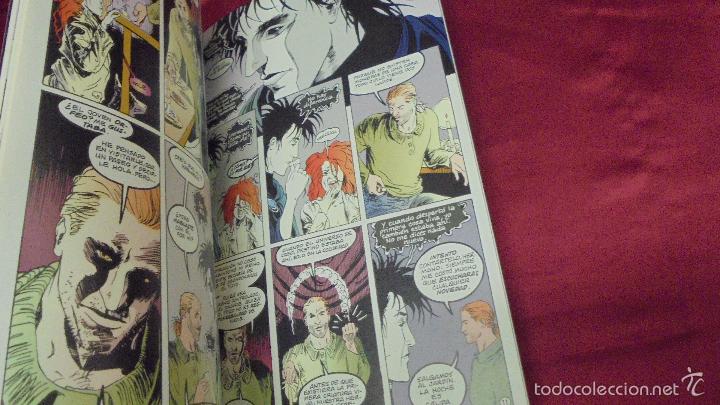 C&oacute;mics: SANDMAN VIDAS BREVES 4. EDICIONES ZINCO. - Foto 2