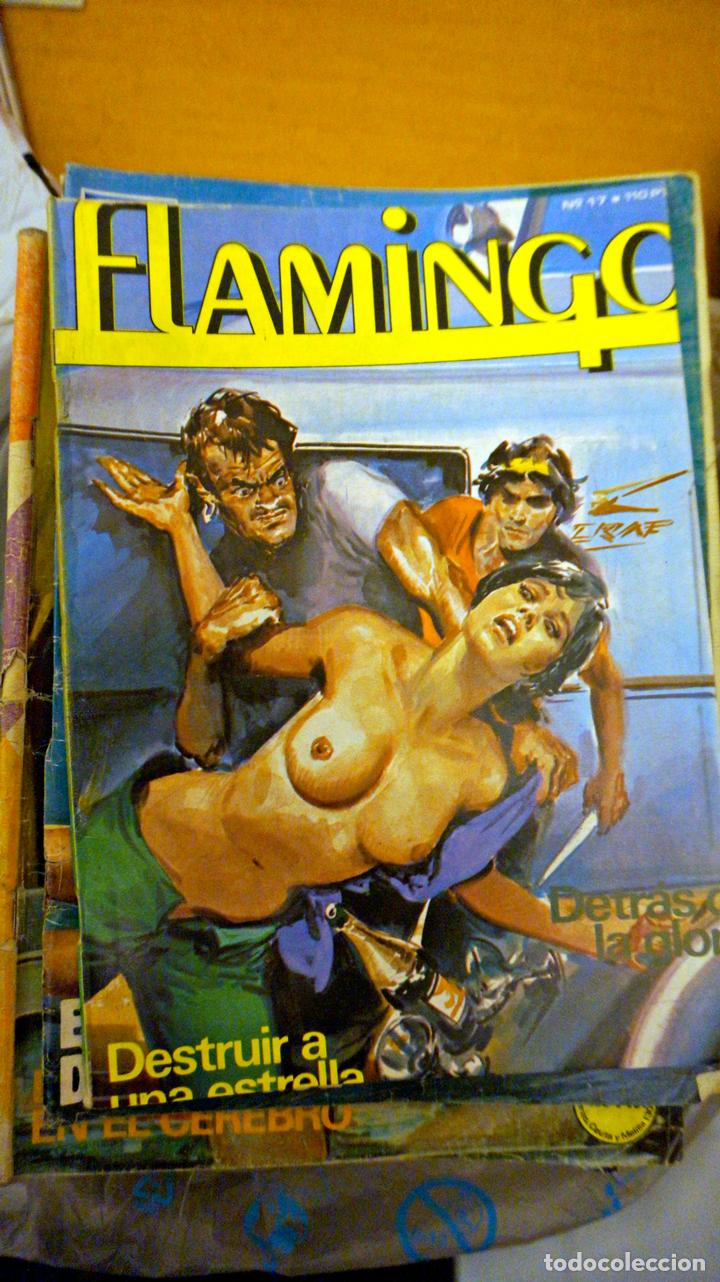 C&oacute;mics: Flamingo 47 - Foto 1