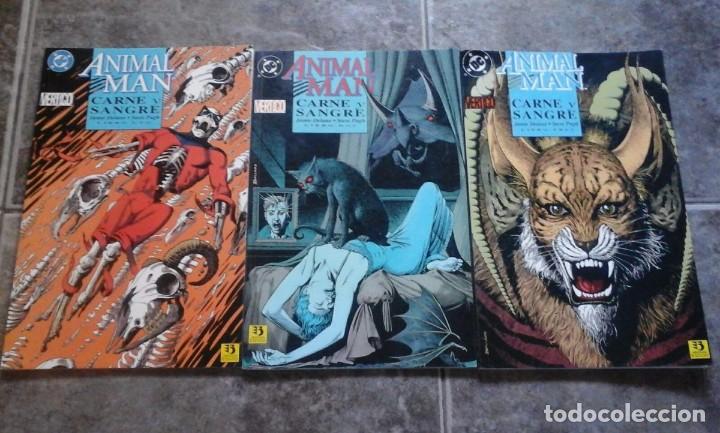 C&oacute;mics: Animal man. Carne y sangre 1-3 - Foto 1