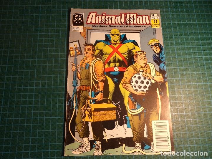 C&oacute;mics: animal man . n&ordm; 9. zinco. (z-2) - Foto 1
